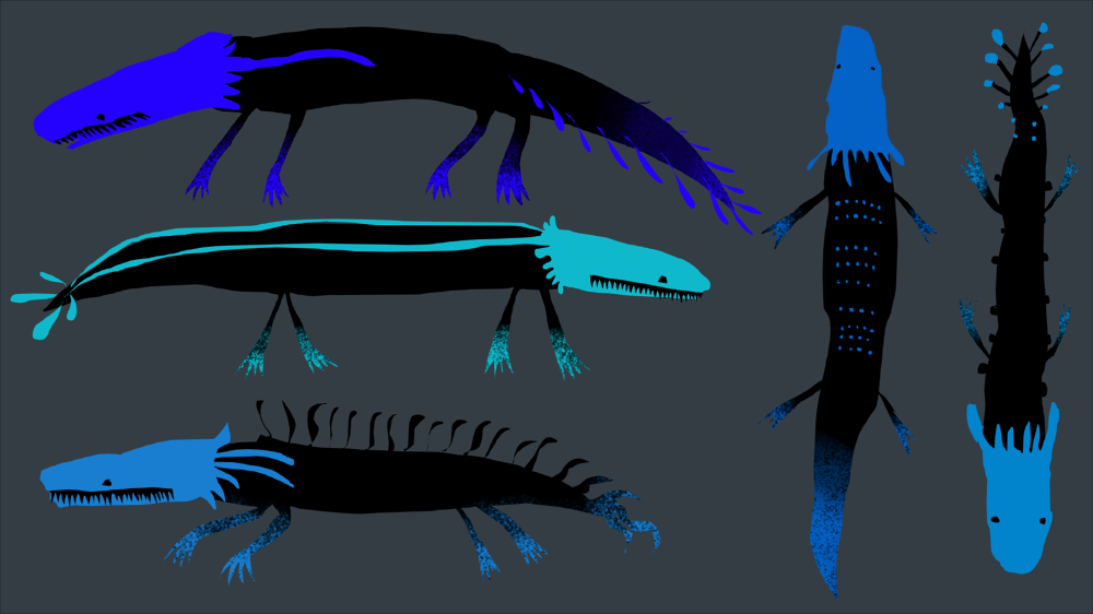 <h2>Blue Lizard</h2>They arent my favorite in game but so so pleasing to draw! I remember referencing <a href=https://rain-world-archive.fandom.com/wiki/Blue_Lizard?file=Bluevariants.png target=_blank >this image</a> to draw these lil guys. (Except, the old version of this was animated and they would spin hahah)