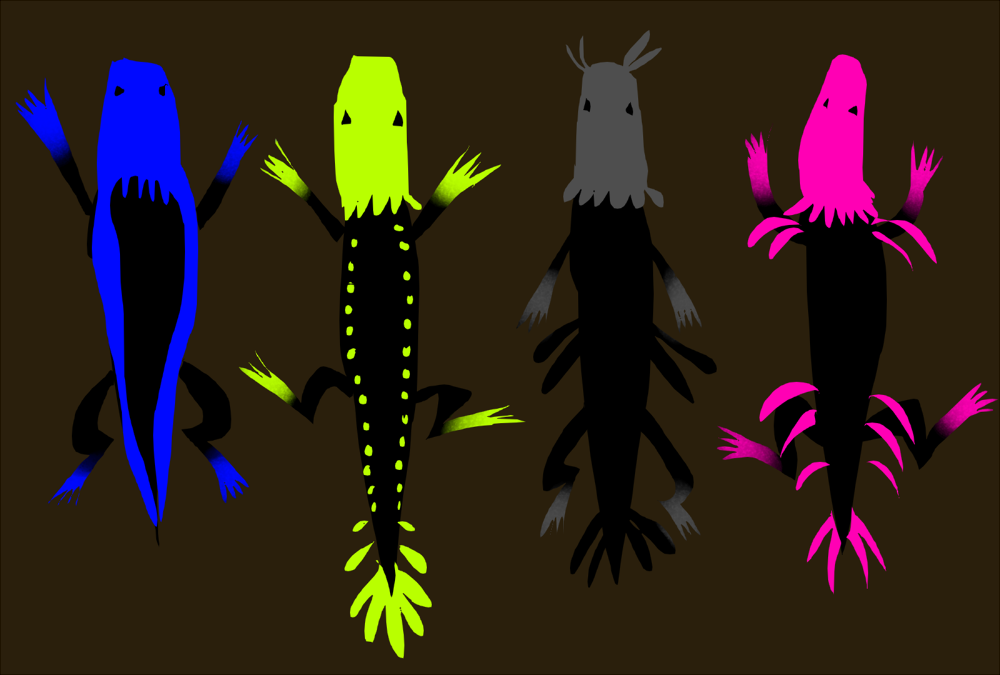 <h2>Various Lizards</h2>