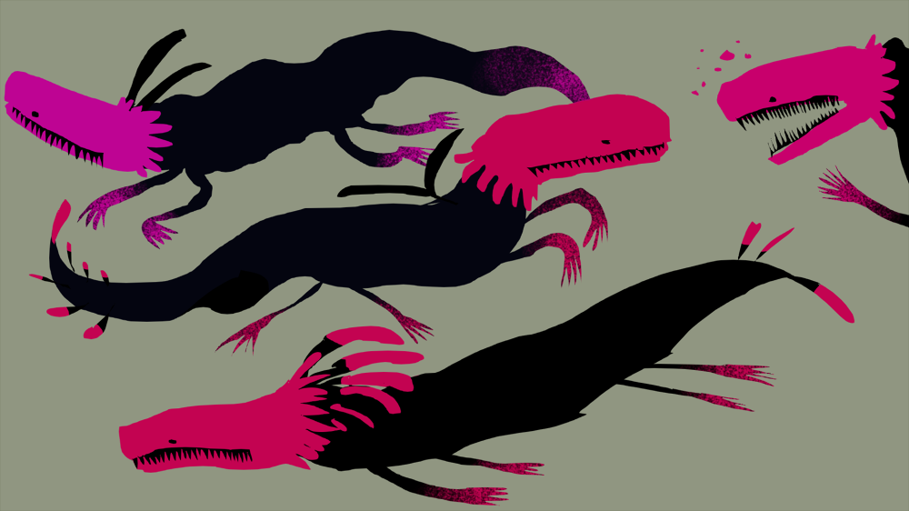 <h2>Pink Lizards</h2>